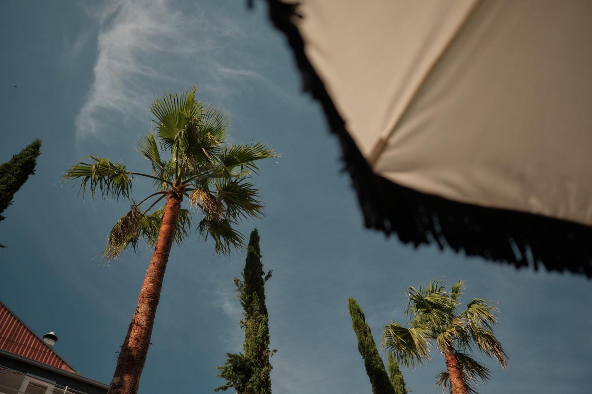 Ga Palace Hotel & Spa, A Xixth-Century Villa Porto Eksteriør billede Palm trees in the city